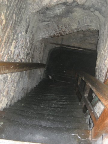 bologna_08