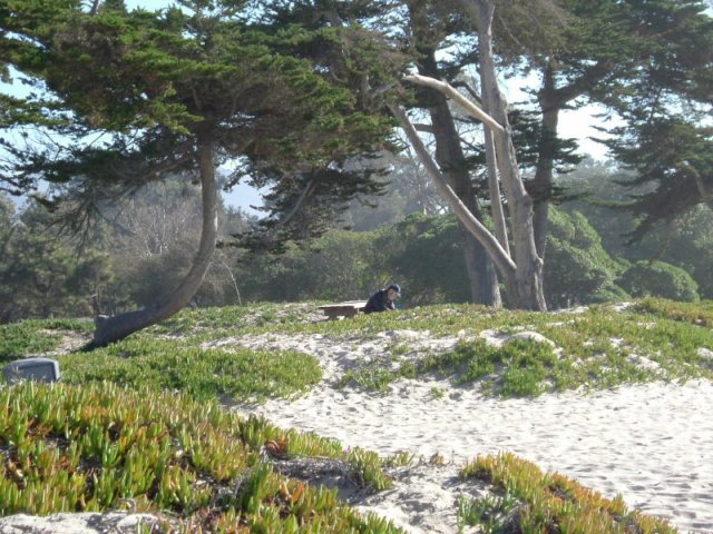 cali_005