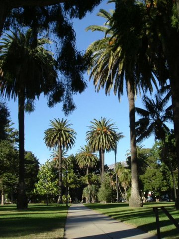 cali_007