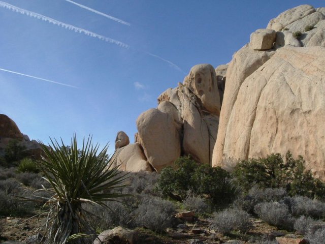 cali_050