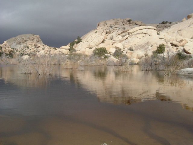 cali_054