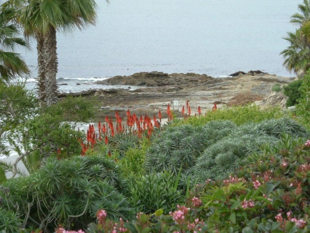cali_055