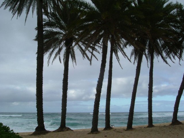 cali_061