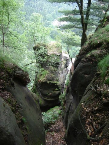 dscf0061