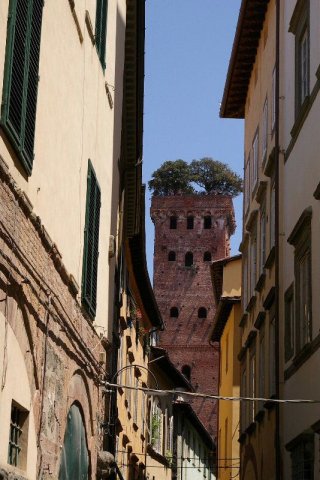 epd_lucca0002
