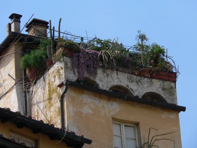epd_lucca0010