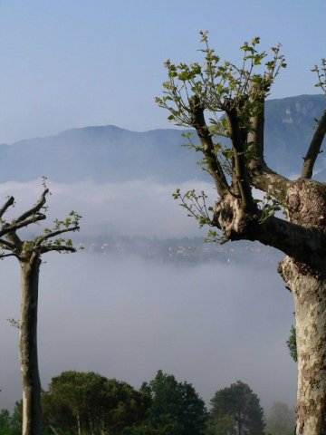 epd_lucca_16