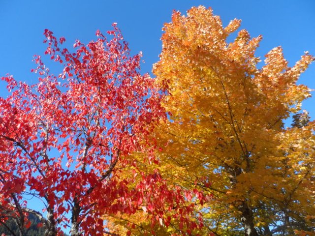 kanada_031