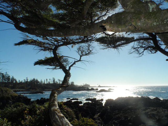 kanada_036