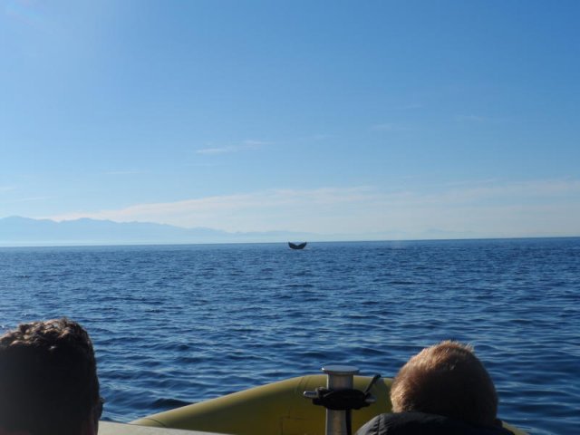 kanada_061