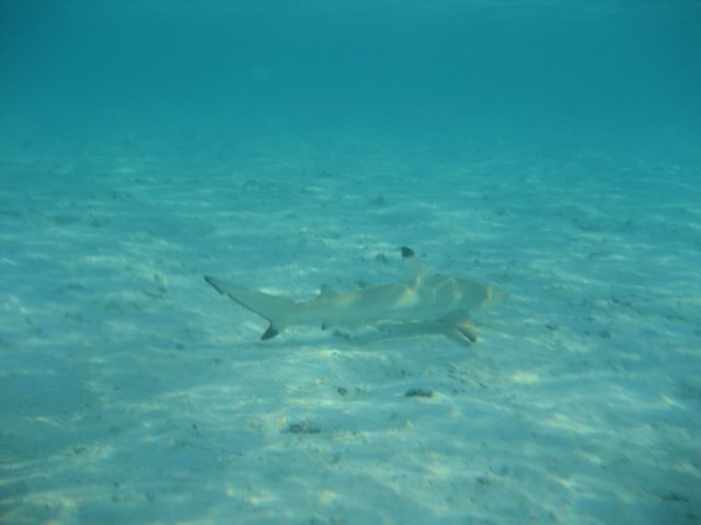 malediven_28