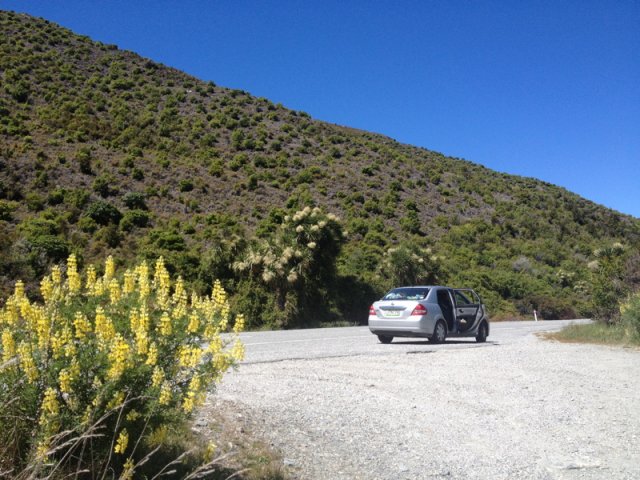 nz_sdinsel_2017_0073