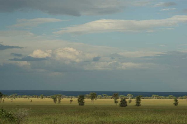 serengeti_11