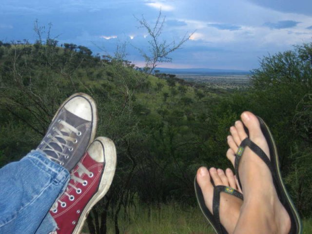 serengeti_12