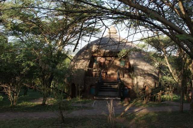 serengeti_13
