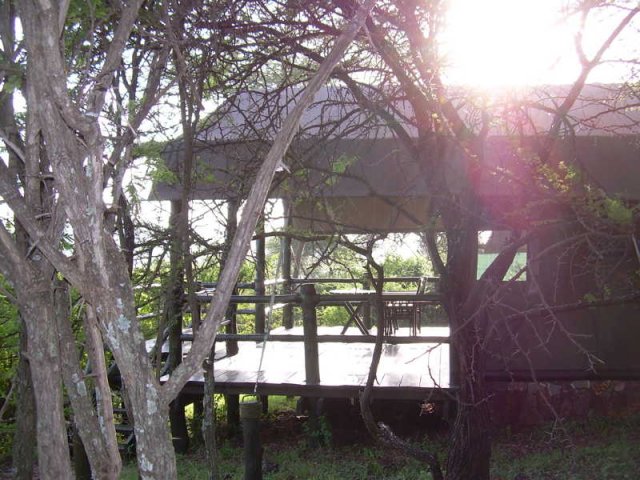 serengeti_23