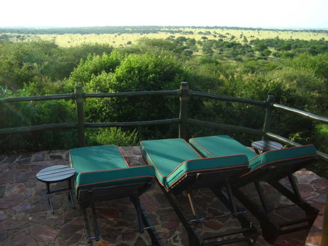 serengeti_24