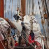 bermuda_039