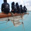 bermuda_044