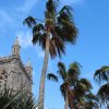 bermuda_054