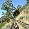 cali_015