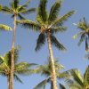 cali_070