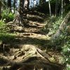 cali_074