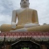 img_0845