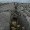 irland_038