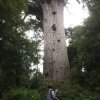 nz_nordinsel_2017_0019