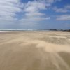 nz_nordinsel_2017_0026