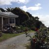 nz_nordinsel_2017_0028