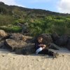 nz_nordinsel_2017_0030
