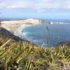 nz_nordinsel_2017_0039