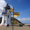 nz_nordinsel_2017_0041