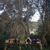 nz_nordinsel_2017_0048