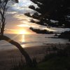 nz_nordinsel_2017_0061