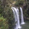 nz_nordinsel_2017_0066