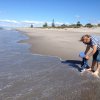 nz_nordinsel_2017_0083