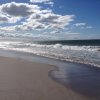 nz_nordinsel_2017_0084
