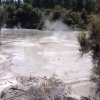 nz_nordinsel_2017_0085