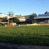 nz_nordinsel_2017_0095