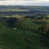 nz_nordinsel_2017_0096