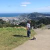 nz_nordinsel_2017_0116