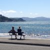 nz_nordinsel_2017_0121