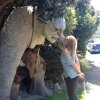 nz_nordinsel_2017_0125