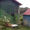 nz_sdinsel_2017_0005
