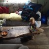 nz_sdinsel_2017_0007