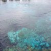 nz_sdinsel_2017_0008