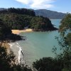 nz_sdinsel_2017_0015
